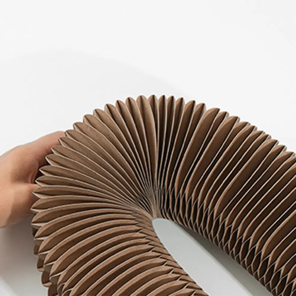 Magic Organ Scratching Toy