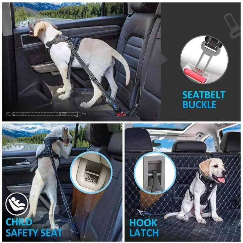 Multi Anchor Pet Seat Belt