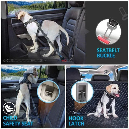 Multi Anchor Pet Seat Belt