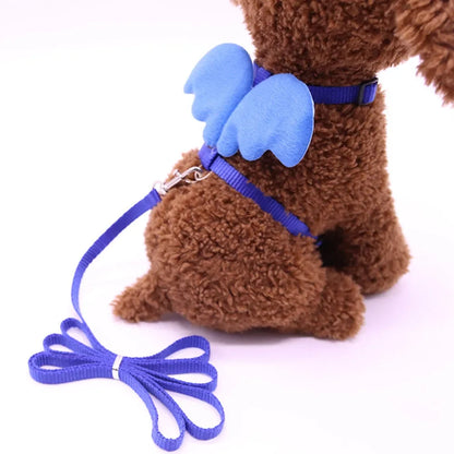 Angel Wings Harness and Lead