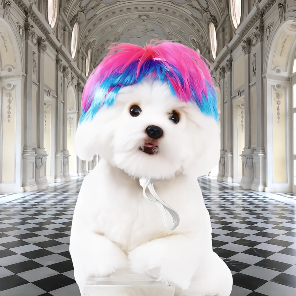 Cute Pet Wig Costume