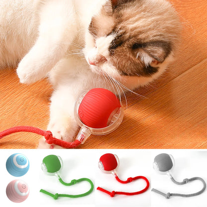 Interactive Rolling Ball Toy
