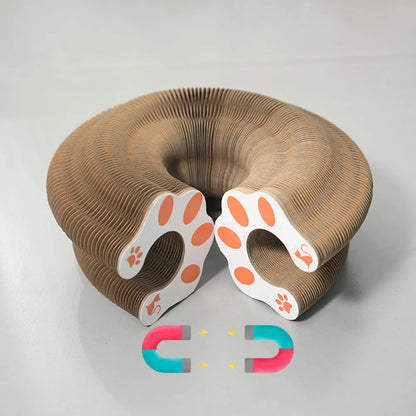 Magic Organ Scratching Toy