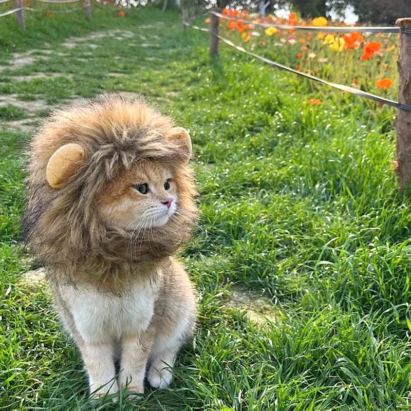 Lion Mane Costume