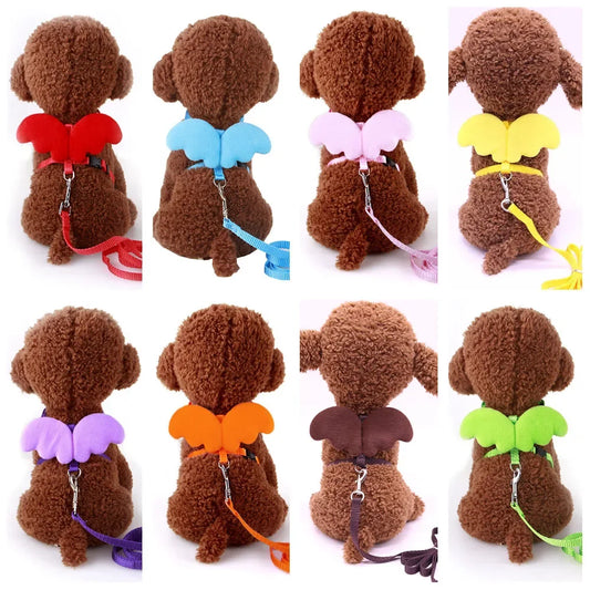 Angel Wings Harness and Lead