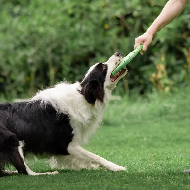 Tug-Of-War Frisbee