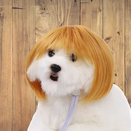 Cute Pet Wig Costume