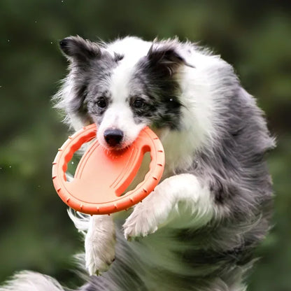 Tug-Of-War Frisbee