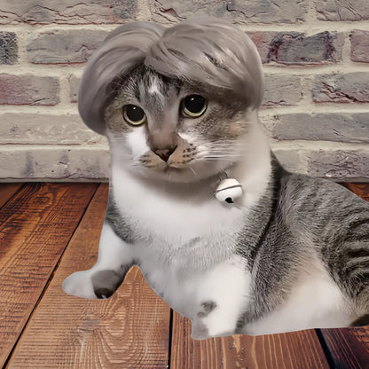 Cute Pet Wig Costume
