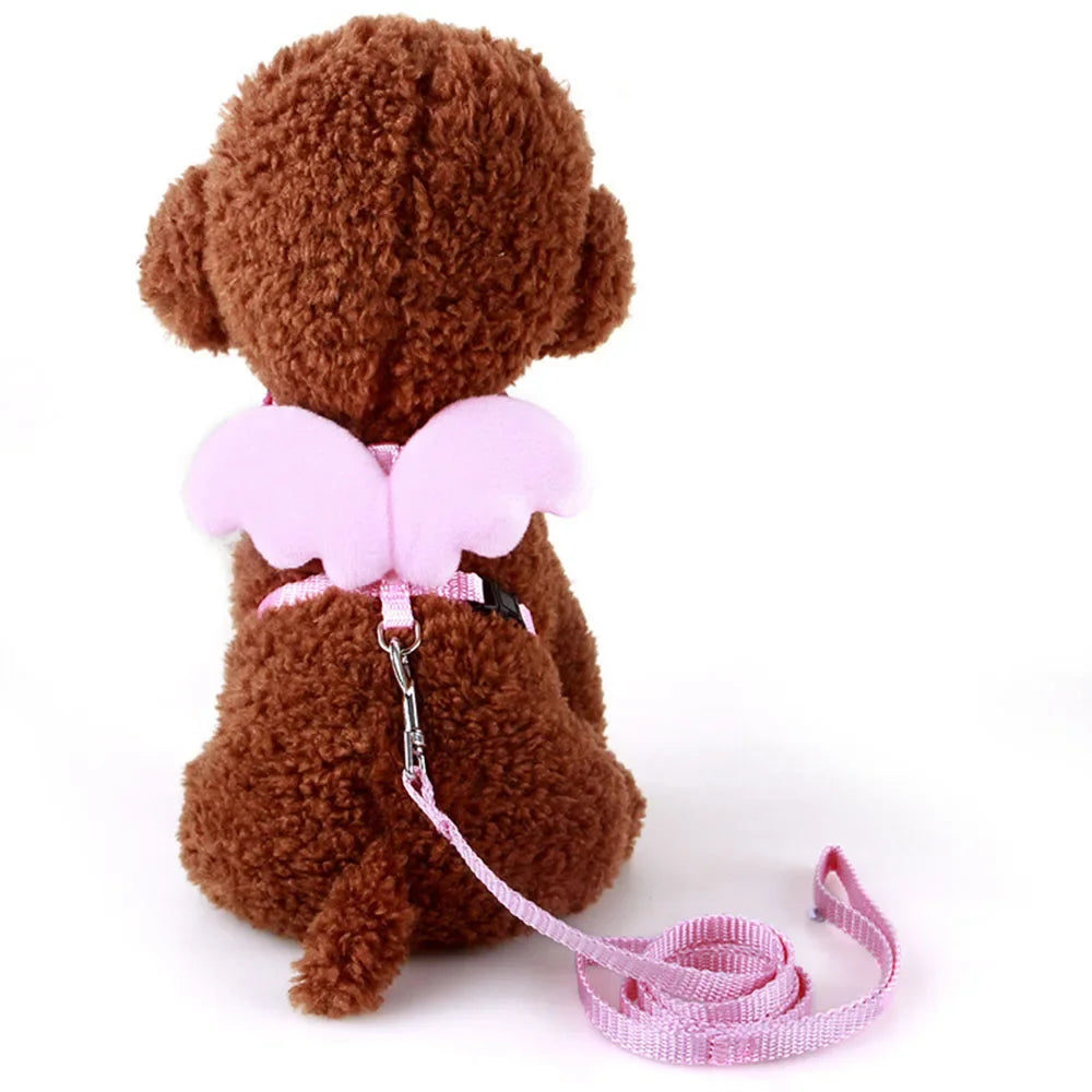 Angel Wings Harness and Lead