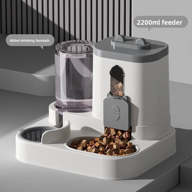 Automatic Feeder and Water Dispenser