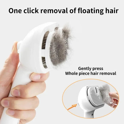 Steam Spray Hair Removal Brush