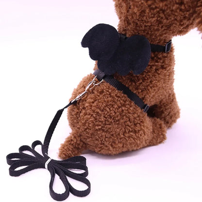 Angel Wings Harness and Lead
