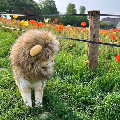 Lion Mane Costume