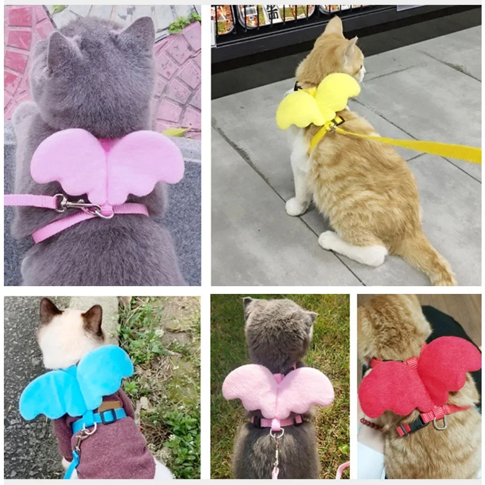 Angel Wings Harness and Lead