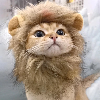 Lion Mane Costume