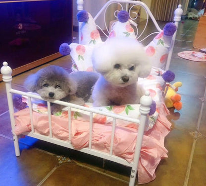 Luxury Steel Frame Pet Beds