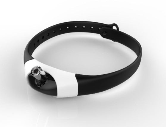 Laser Collar Cat Toy