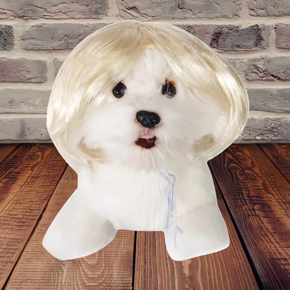 Cute Pet Wig Costume