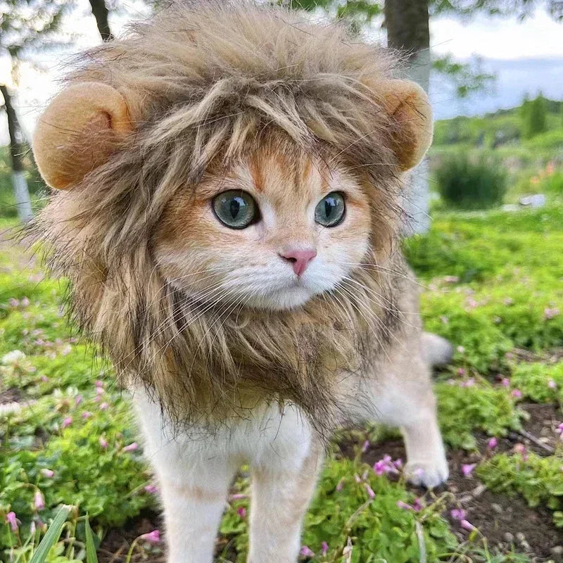 Lion Mane Costume