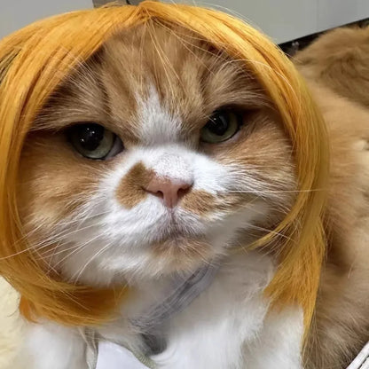 Cute Pet Wig Costume