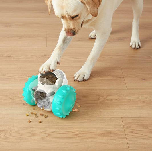 Slow Feeder Pet Toy