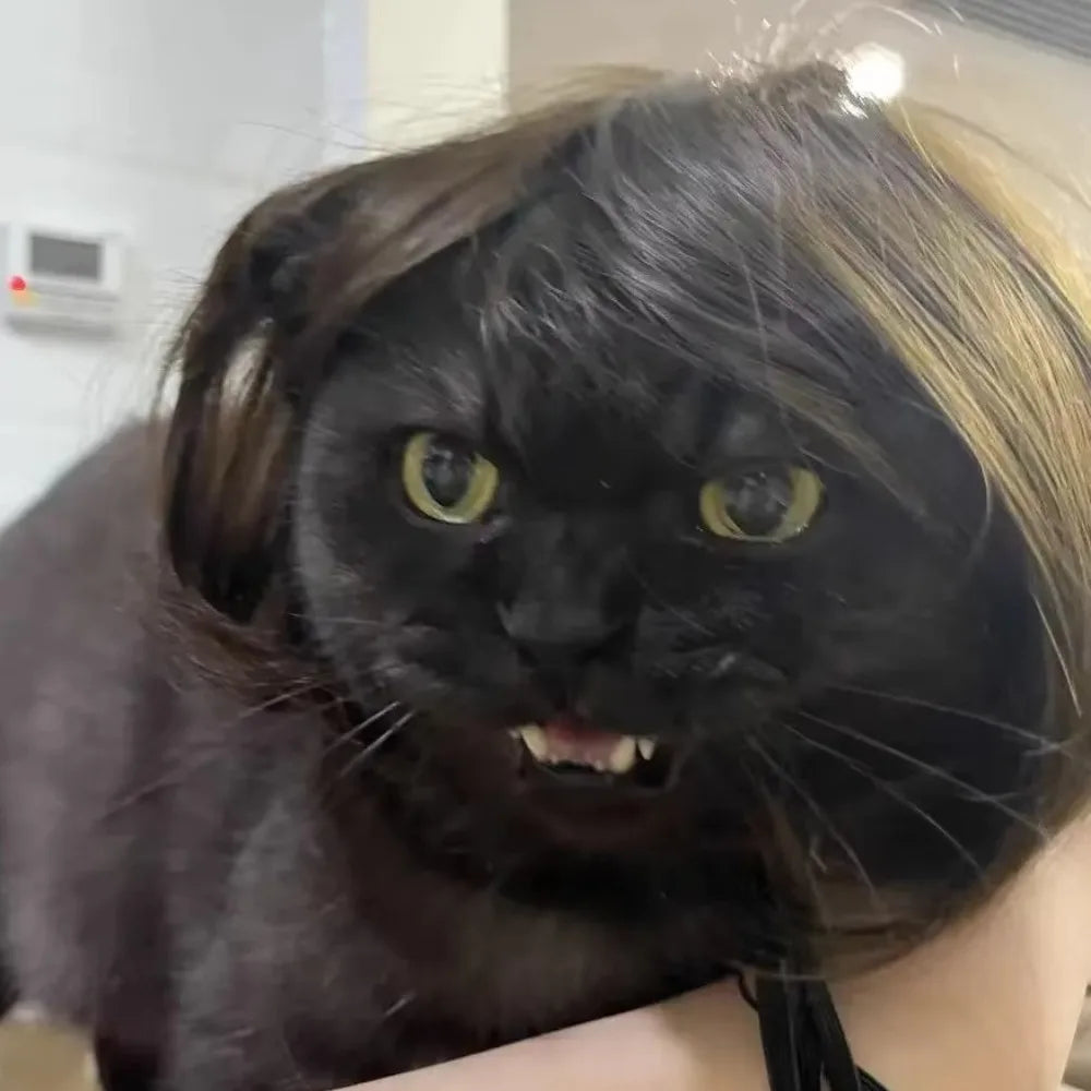 Cute Pet Wig Costume