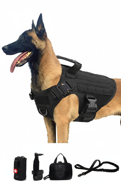 Dog wearing a black tactical harness
