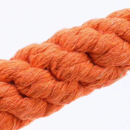 Braided Carrot Rope Toy
