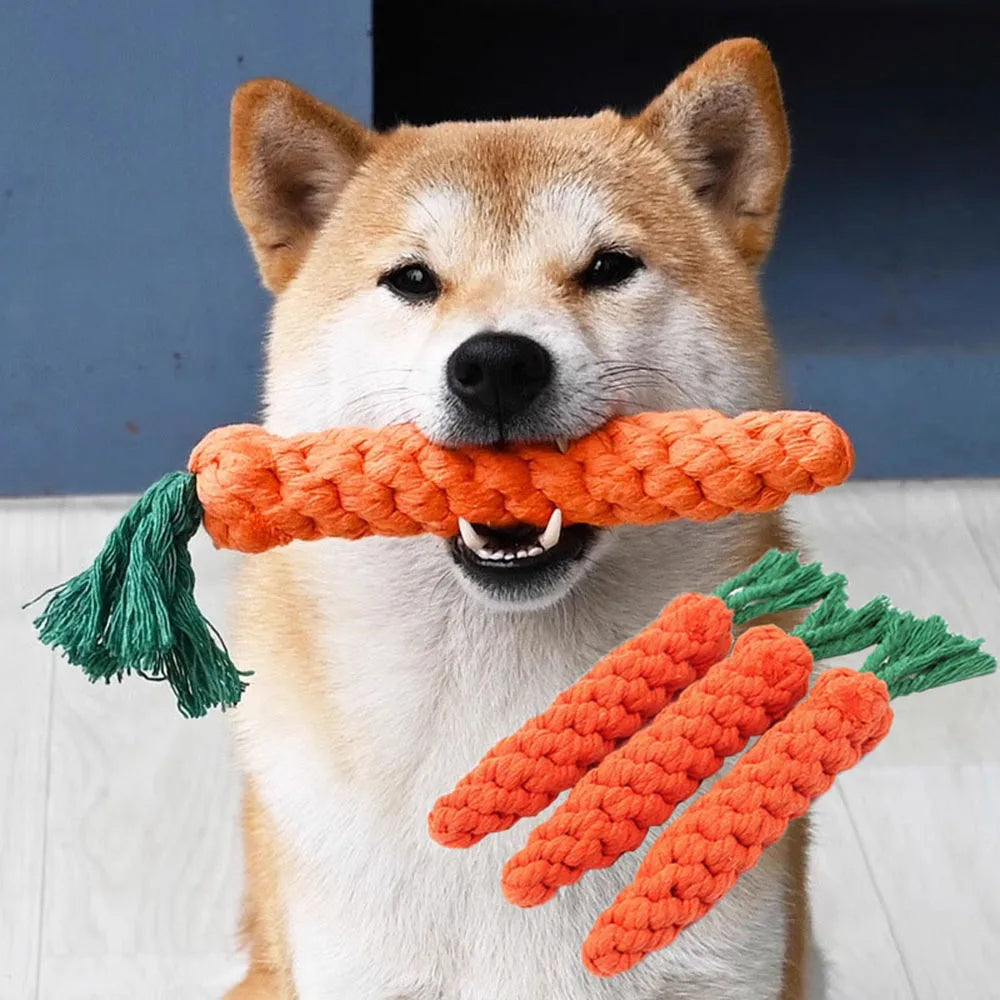 Braided Carrot Rope Toy