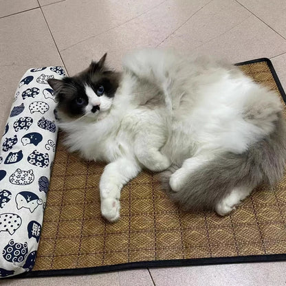 Pet Natural Cooling Mat