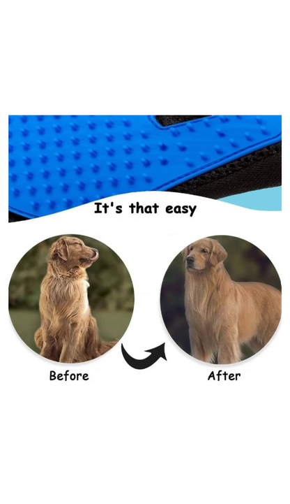 Hair Removal Glove Brush