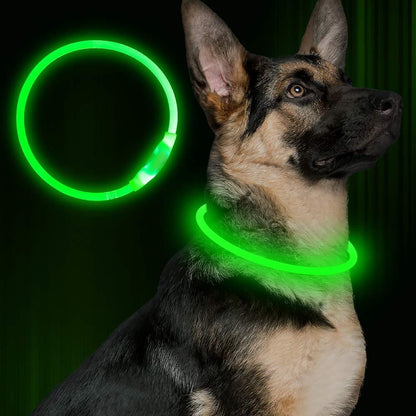 Glowing LED safety Collar