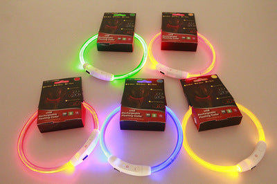 Glowing LED safety Collar