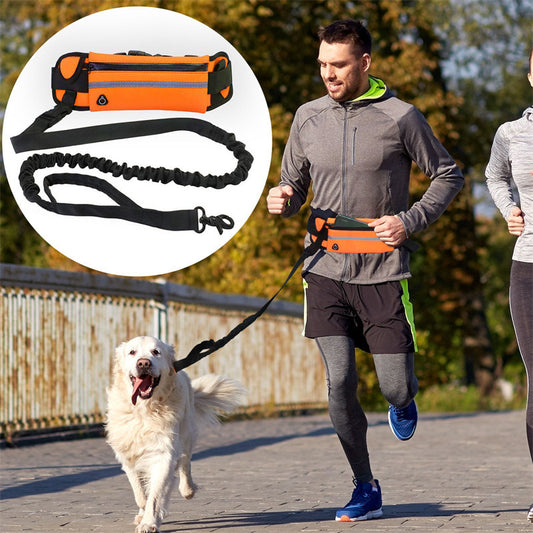 Jogger's Dog Leash With Pouch