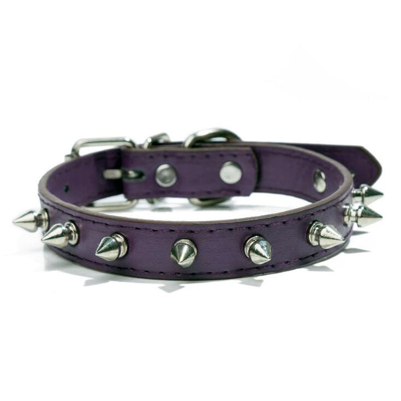 Leather-Studded Dog Collar