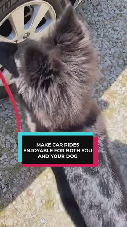 Waterproof Car Travel Seat Cover