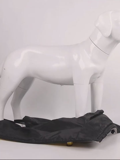 Waterproof Winter Raincoat