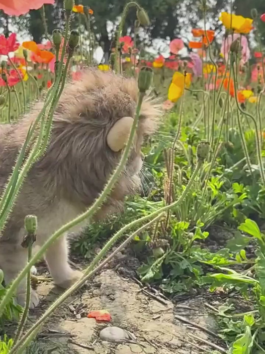 Lion Mane Costume