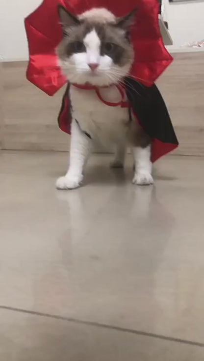 Dracula Halloween Cape