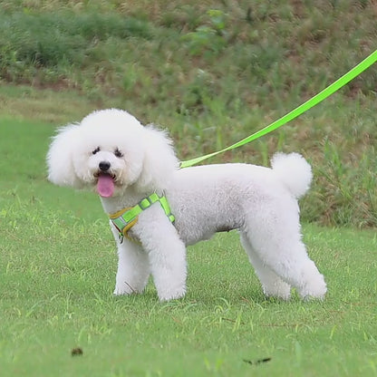 Reflective Soft Harness And Leash Set