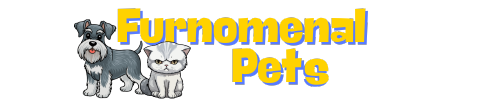 best-pet-shop-furnomenal-pets-sydney-australia-australia-wide