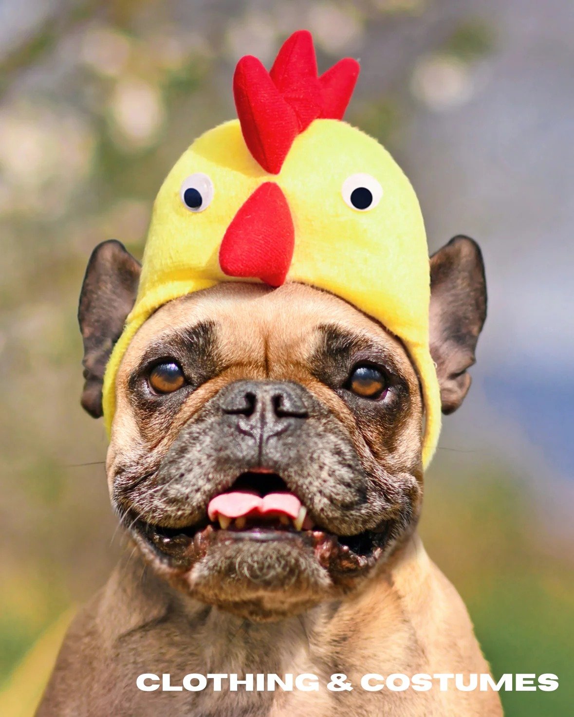 pet-clothes-pet-stock-costume-pet-sydney-australia